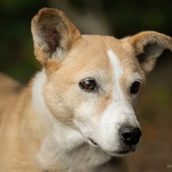 Matilda - Hero Image