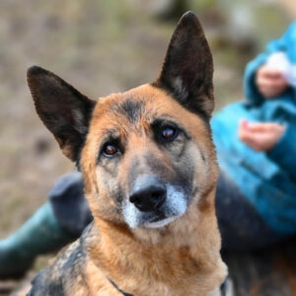 Minerva - Hero Image