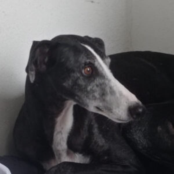 Navarra - Hero Image