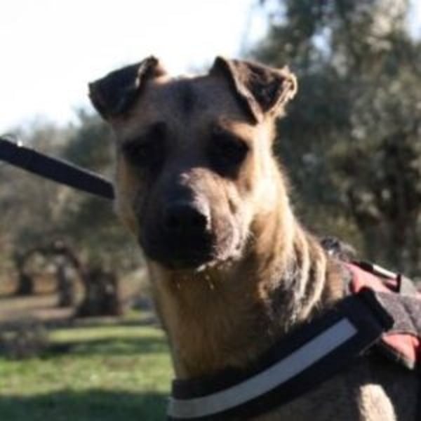 Otto - Hero Image