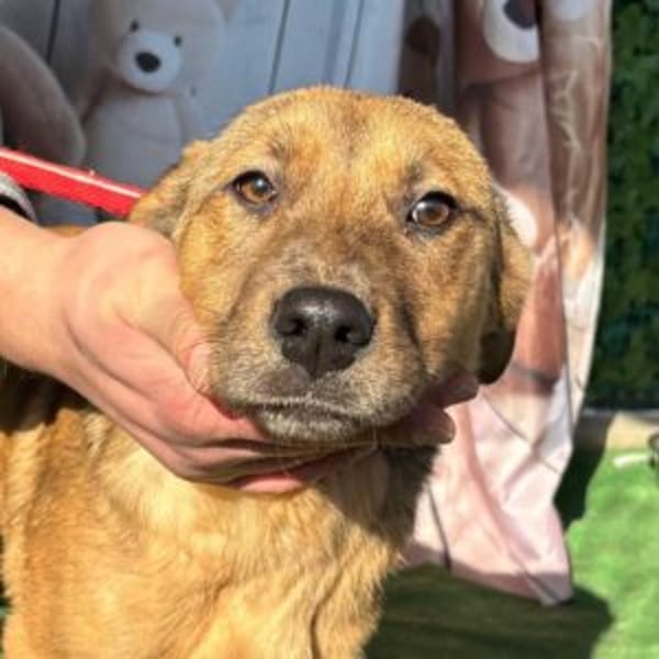 Princess - Hero Image