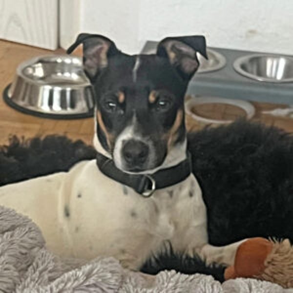 Redford - Hero Image