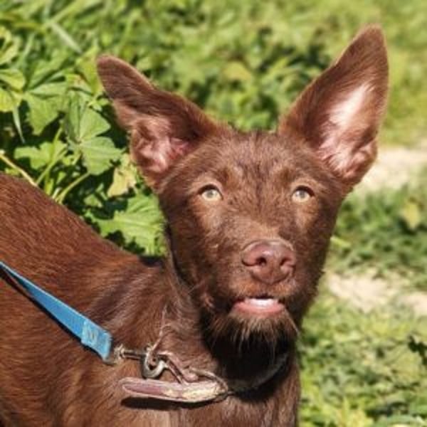 Tiffany - Hero Image