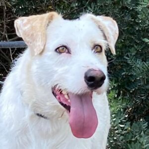 Tristan - Hero Image