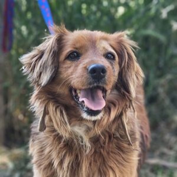 Trudy - Hero Image