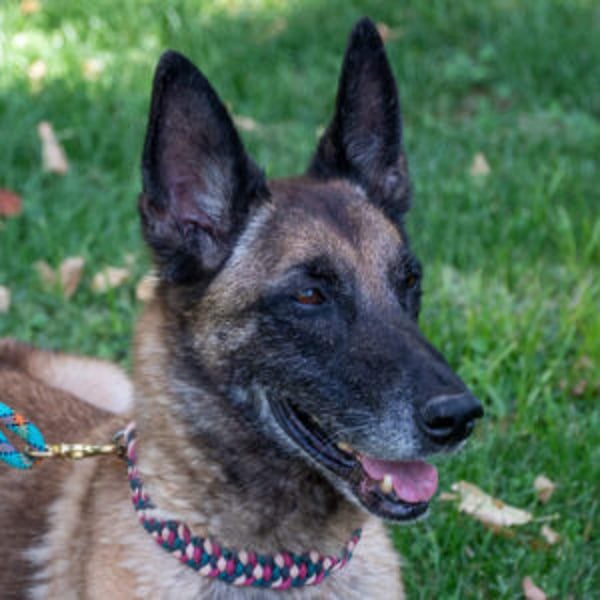 Tuca - Hero Image