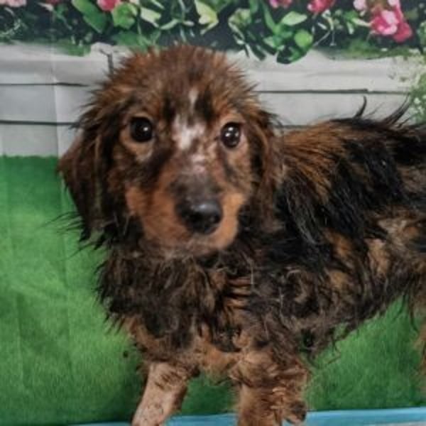 Tucker - Hero Image