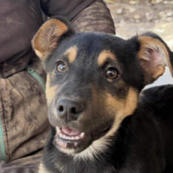 Valentino - Hero Image