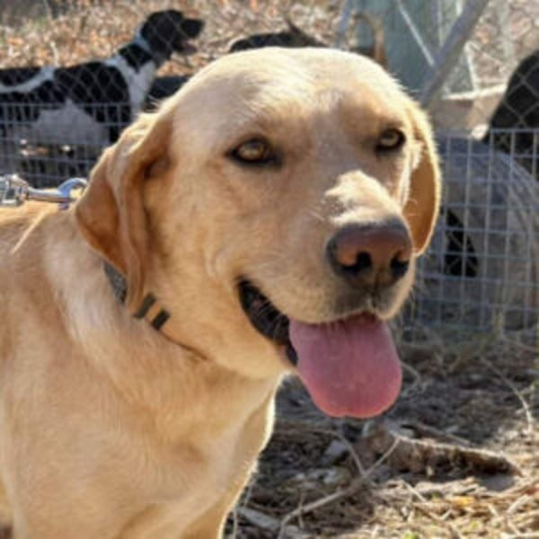 Victoria - Hero Image