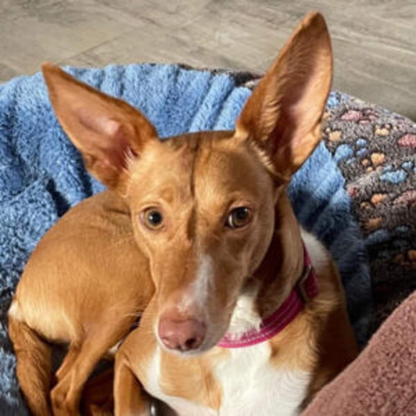 Zoey - Hero Image