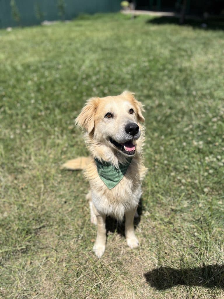 Mali
