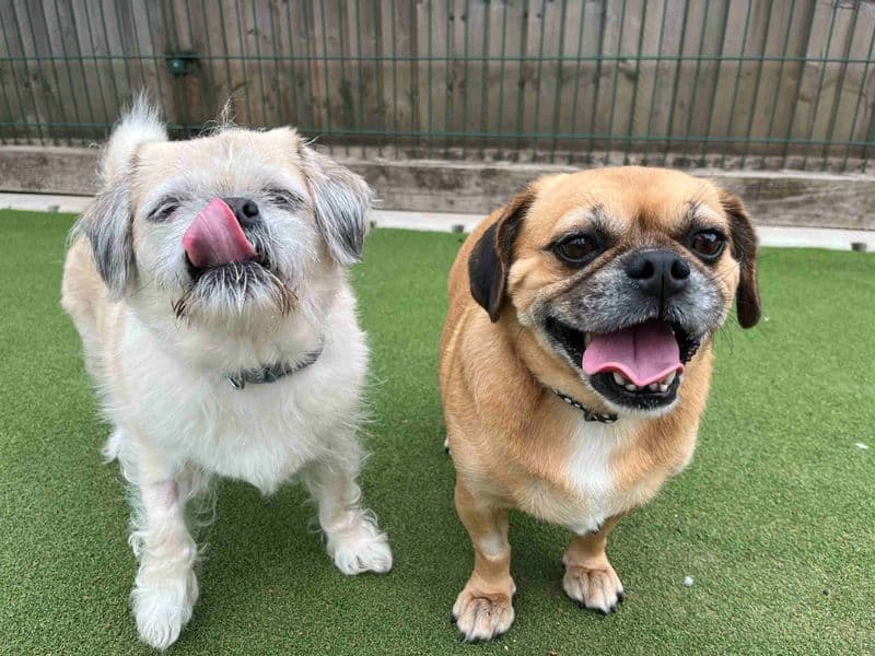 Betty & Fable