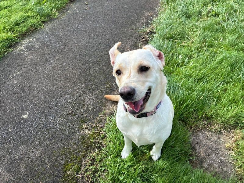 Skye