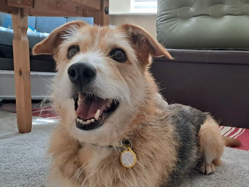Winnie