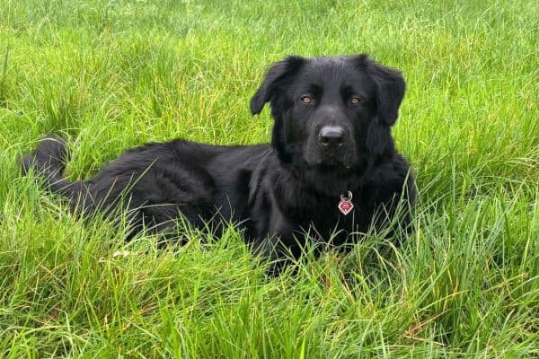 Monty