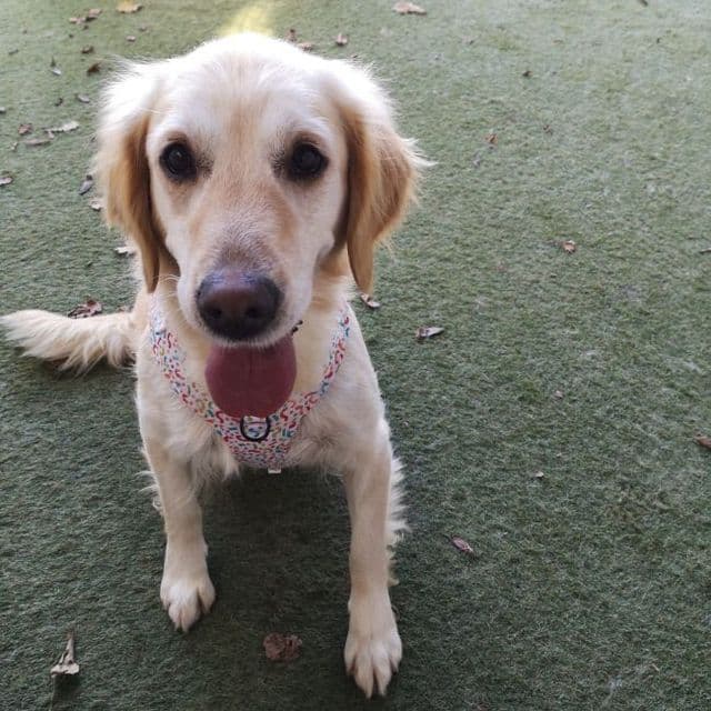 Molly