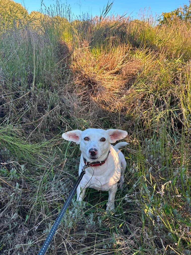 Edna
