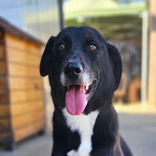 Jax
