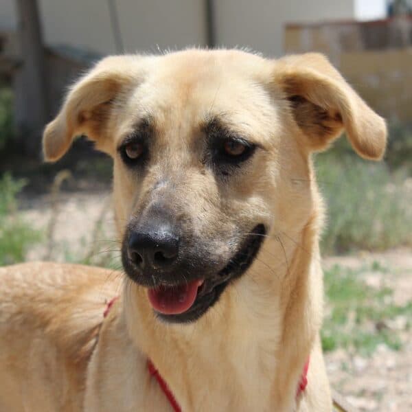 Photo of Sally