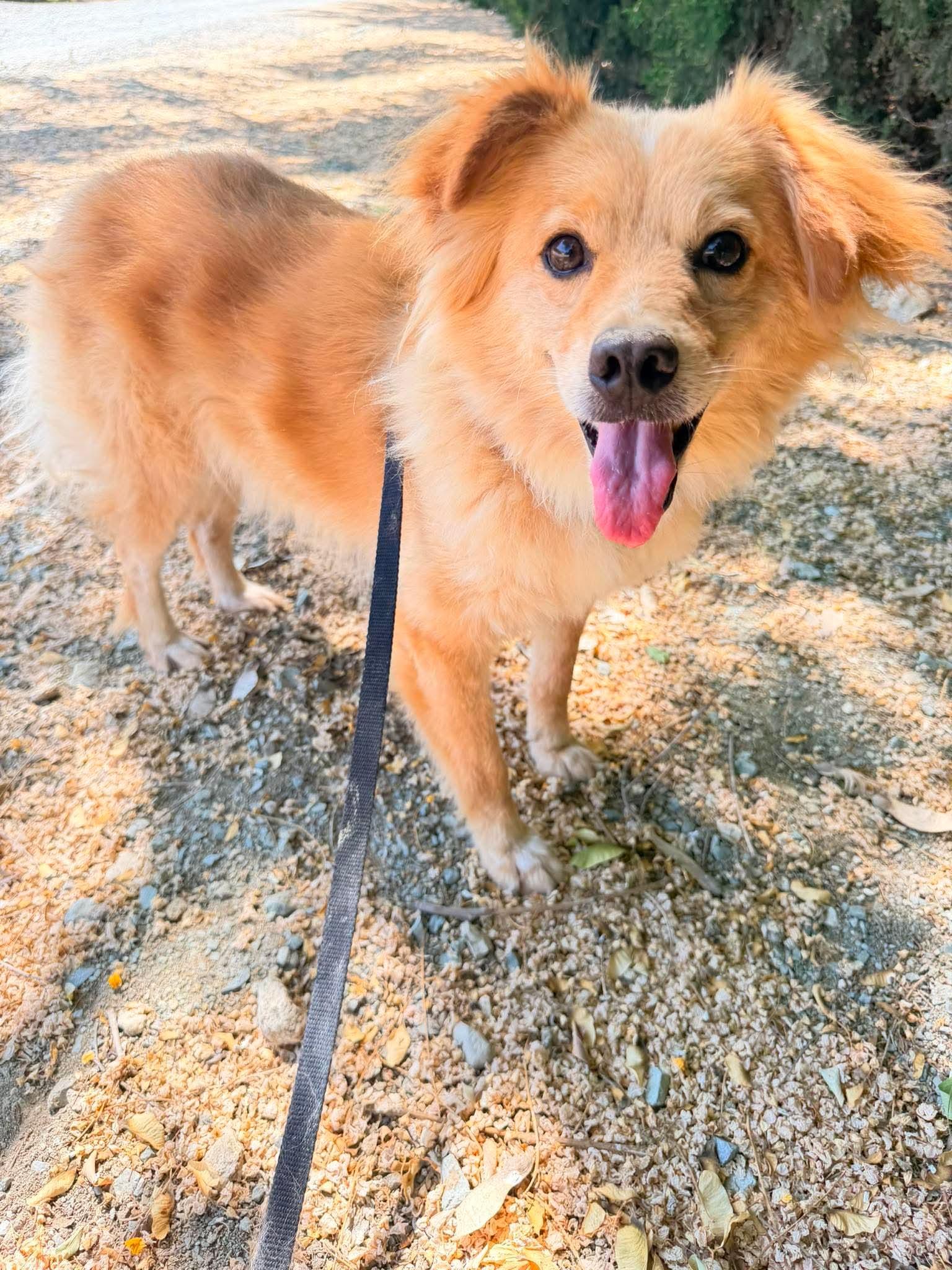 Rusty
