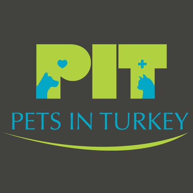 Pets in Turkey